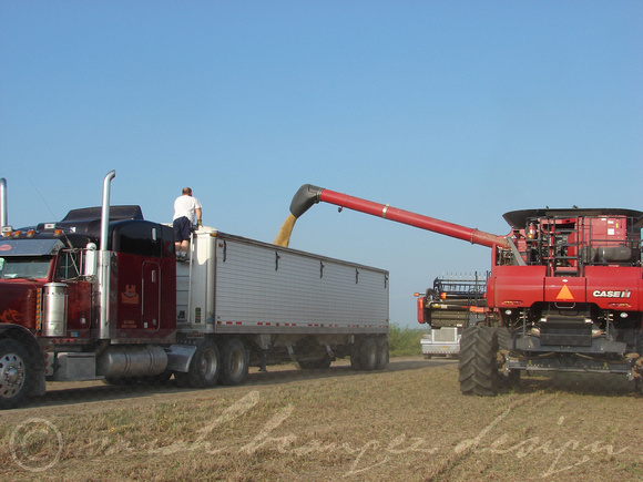 Mississippi Tractors & Combines in Delta 2