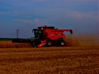 Mississippi Tractors & Combines in Delta 14