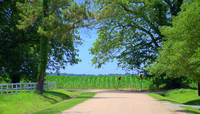 MS - Sharkey County