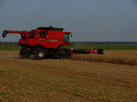 Mississippi Tractors & Combines in Delta 10