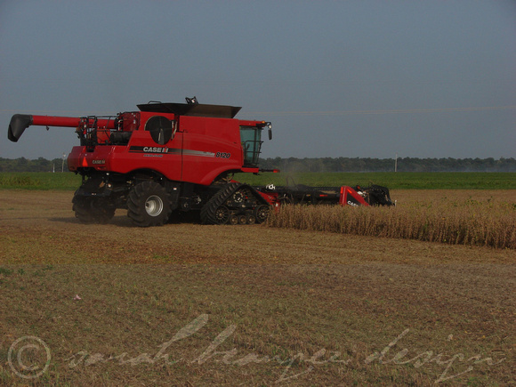 Mississippi Tractors & Combines in Delta 10