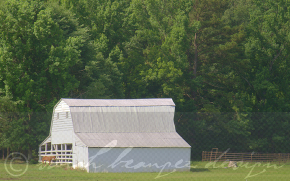 MS - White Barn on Natchez Trace (South of Raymond)
