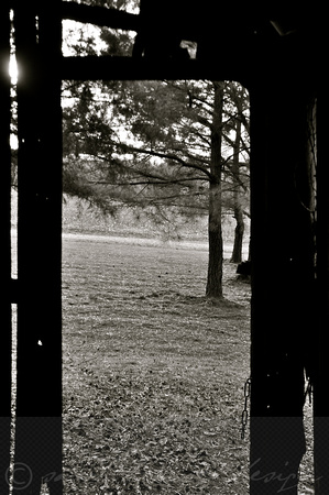 Sarah Beaugez Photography-The Franks Farm 14