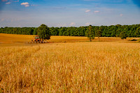 SB Photography- Growing 9  05.08-11.18