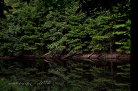 _DSC0665