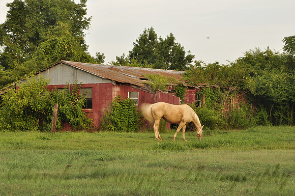 Sarah Beaugez Photography - Mississippi On My Mind 17- 07/27/2014, 7:08 PM 4288x2848