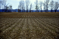 Sarah Beaugez Photography-Planting Corn 12