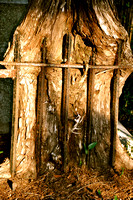 Sarah Beaugez Photography-Churches & Iron 4