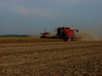 Mississippi Tractors & Combines in Delta 13