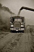 Loading the truck with rice.