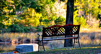 Sarah Beaugez Photography-Churches & Iron 2