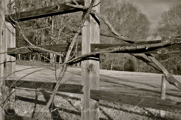 Sarah Beaugez Photography-The Franks Farm 2